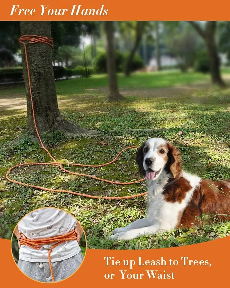 100FT Extra Long Dog Leash for Dog Training, Reflective Threads Check Cord Dog Leash, Heavy Duty Dog Lead for Large Medium Small Dogs Outside Walking, Playing, Camping, or Yard
