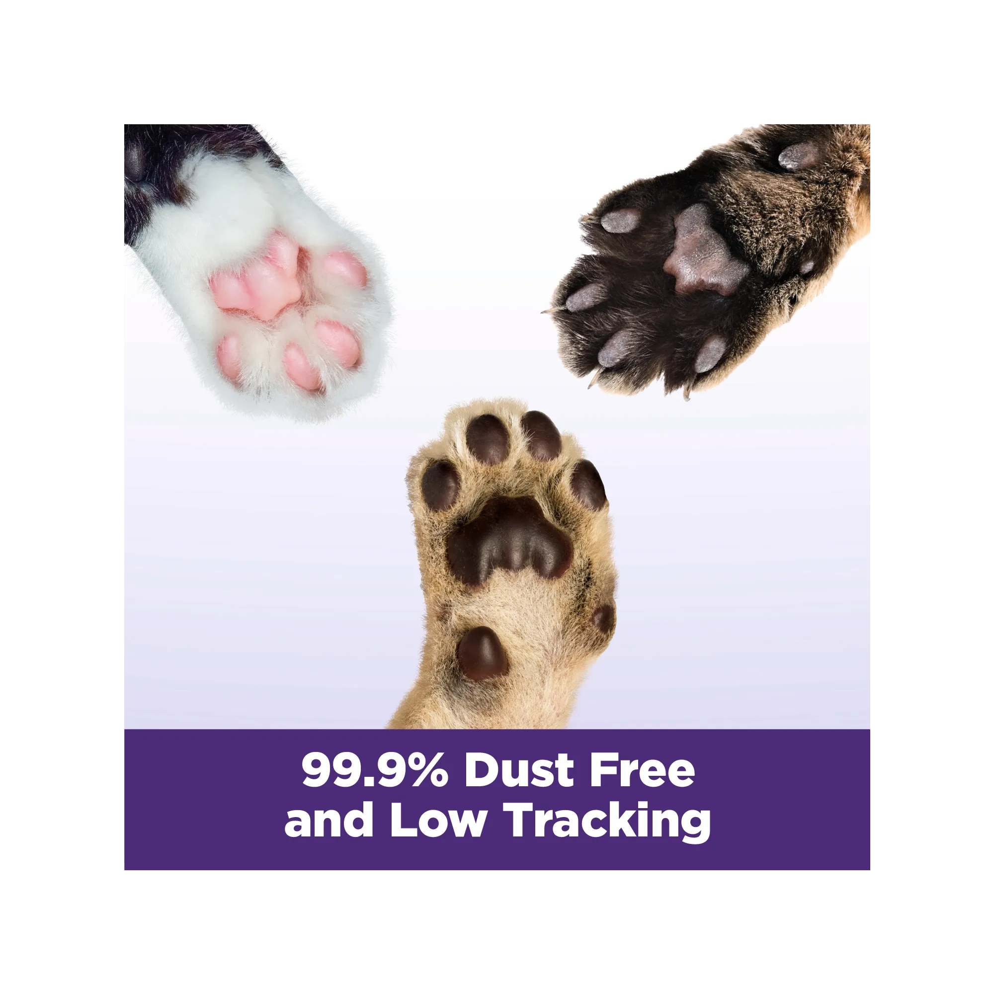 ARM & HAMMER SLIDE Easy Clean-Up Multi-Cat Clumping Cat Litter, 38 lb