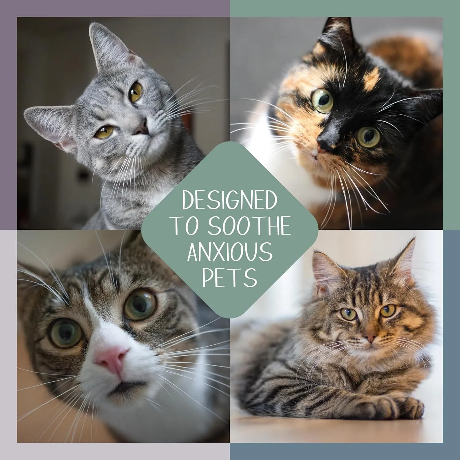 Aromatic Pheromone Refill Pads for Cats, Woodland Whiskers Scent, Pack of 7 Pads, Made in The USA