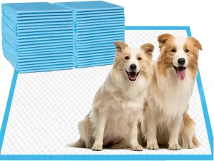 Aurora Pet Ultra-Absorbent Puppy Pee Pads  Large 24x24 Inch, Leak-Proof & Quick-Dry Potty Training Pads (40-Pack), Durable Protection for Dogs  Blue & White