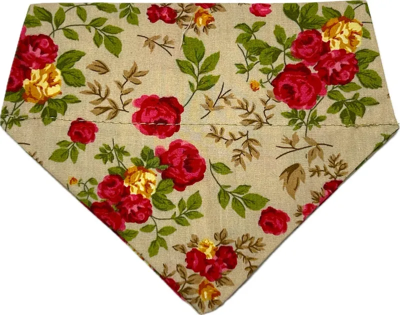 Cat & Kitten Range "Autumn Rose" by Mabel & Mu