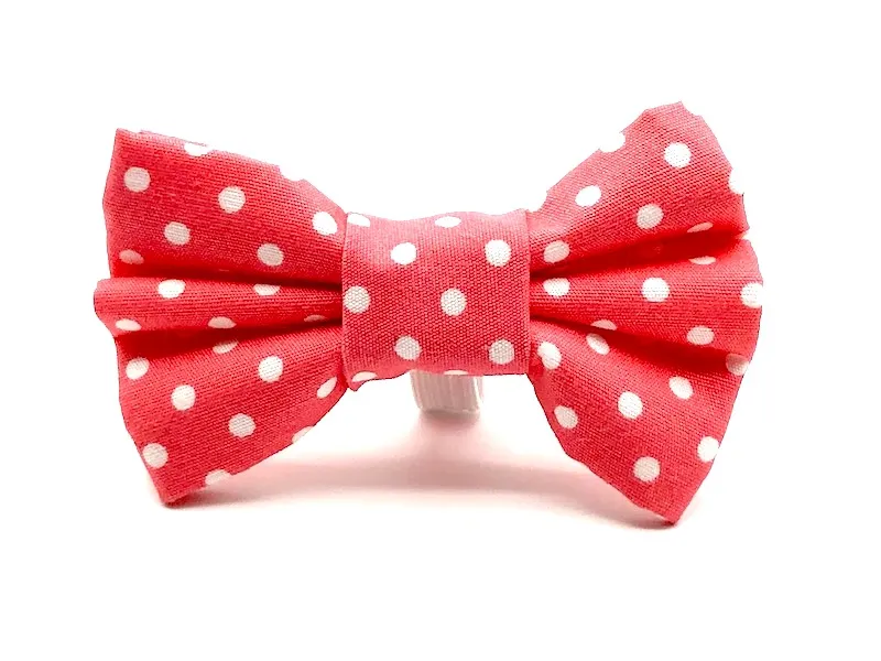 Cat & Kitten Range "Just Peachy" by Mabel & Mu