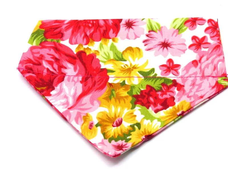 Cat & Kitten Range "Peony" by Mabel & Mu