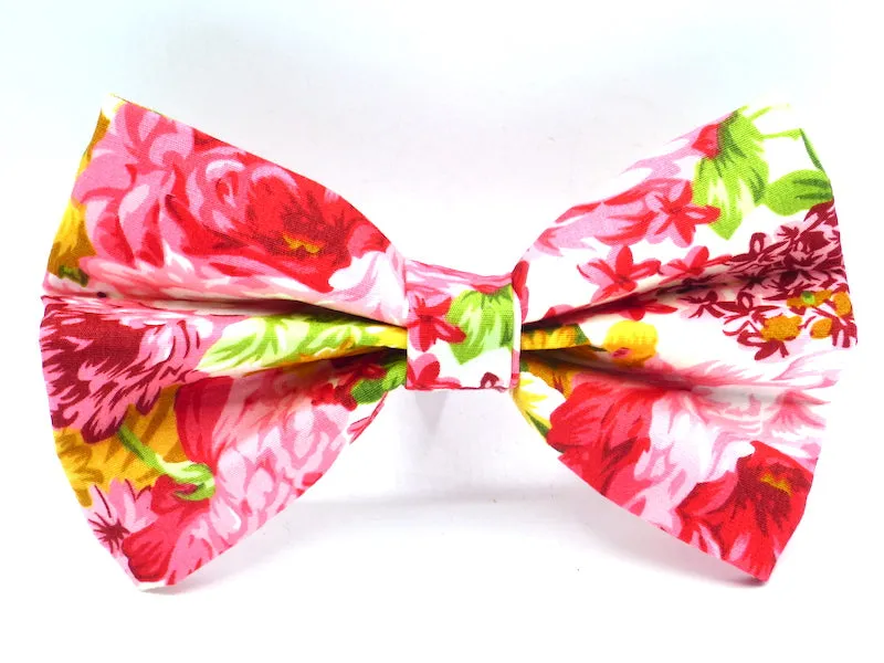 Cat & Kitten Range "Peony" by Mabel & Mu