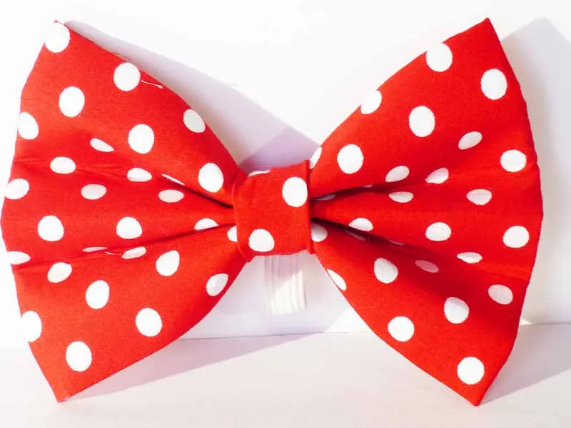 Cat & Kitten Range "The Lindybop" Range by Mabel & Mu