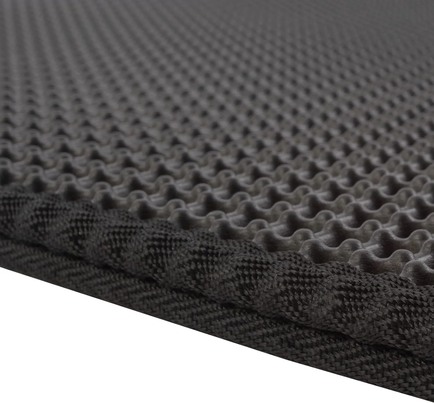Cat Litter Mat - 30x24 Waterproof Litter Box Mat with Dual-Layer Honeycomb Design for Trapping Litter - Slip-Resistant Cat Mat by PETMAKER (Black)