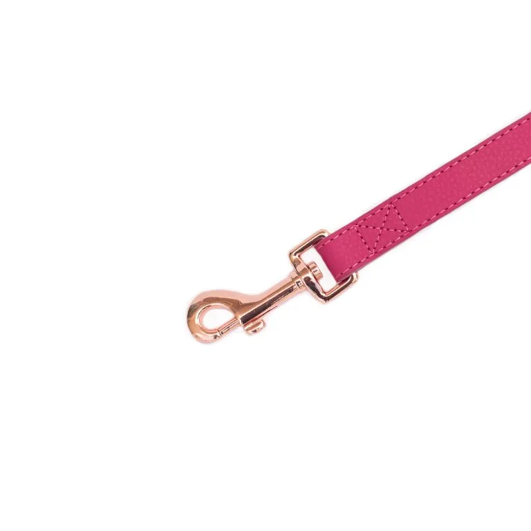 Copy of Vivid Collection Leash - Magenta
