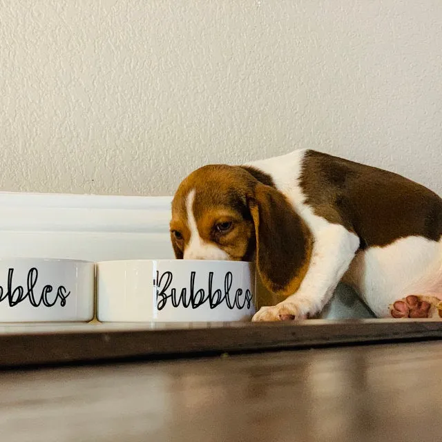 Custom Pet Food Bowl Ceramic 6" or 7" White