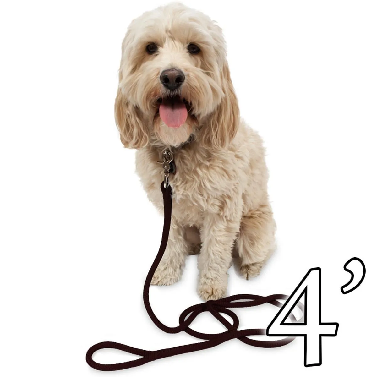 Dog Leash - 1/2" Braided Nylon