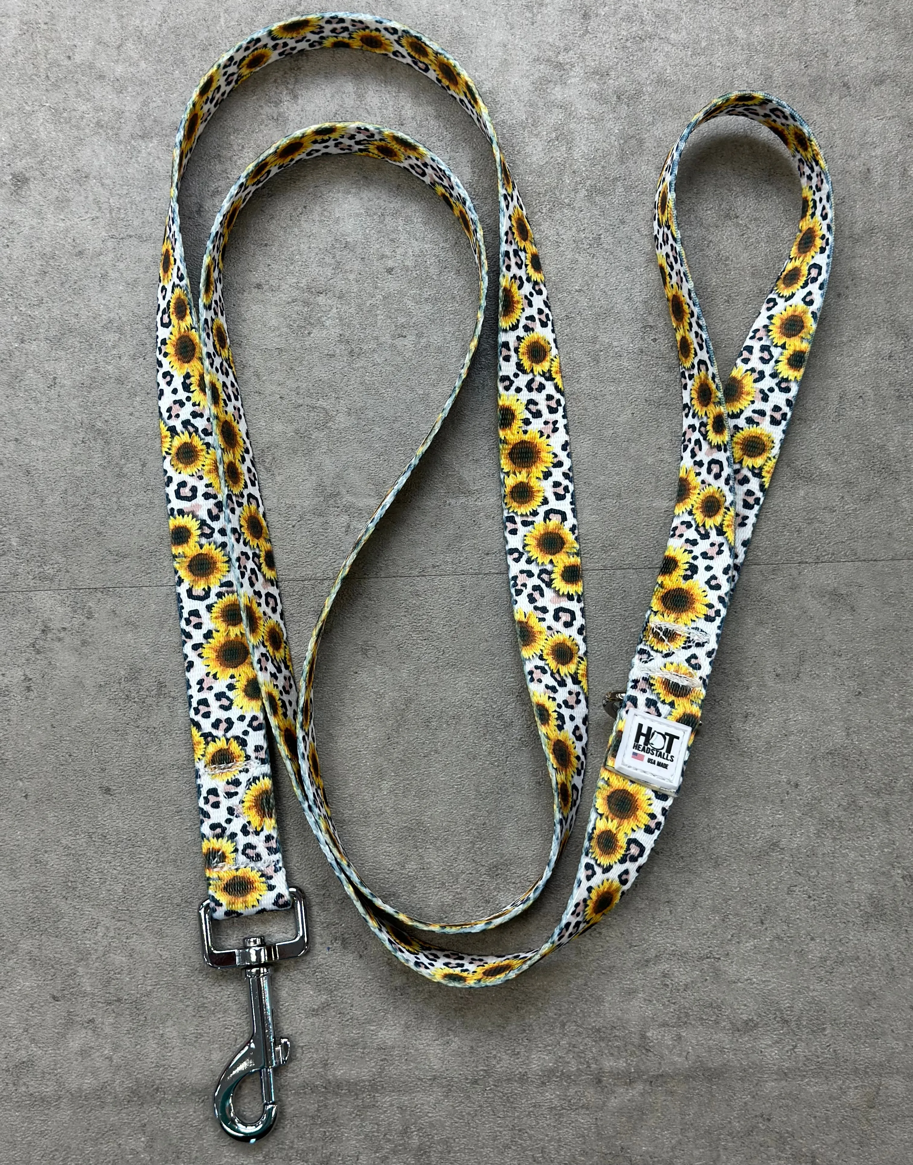 Dog Leashes