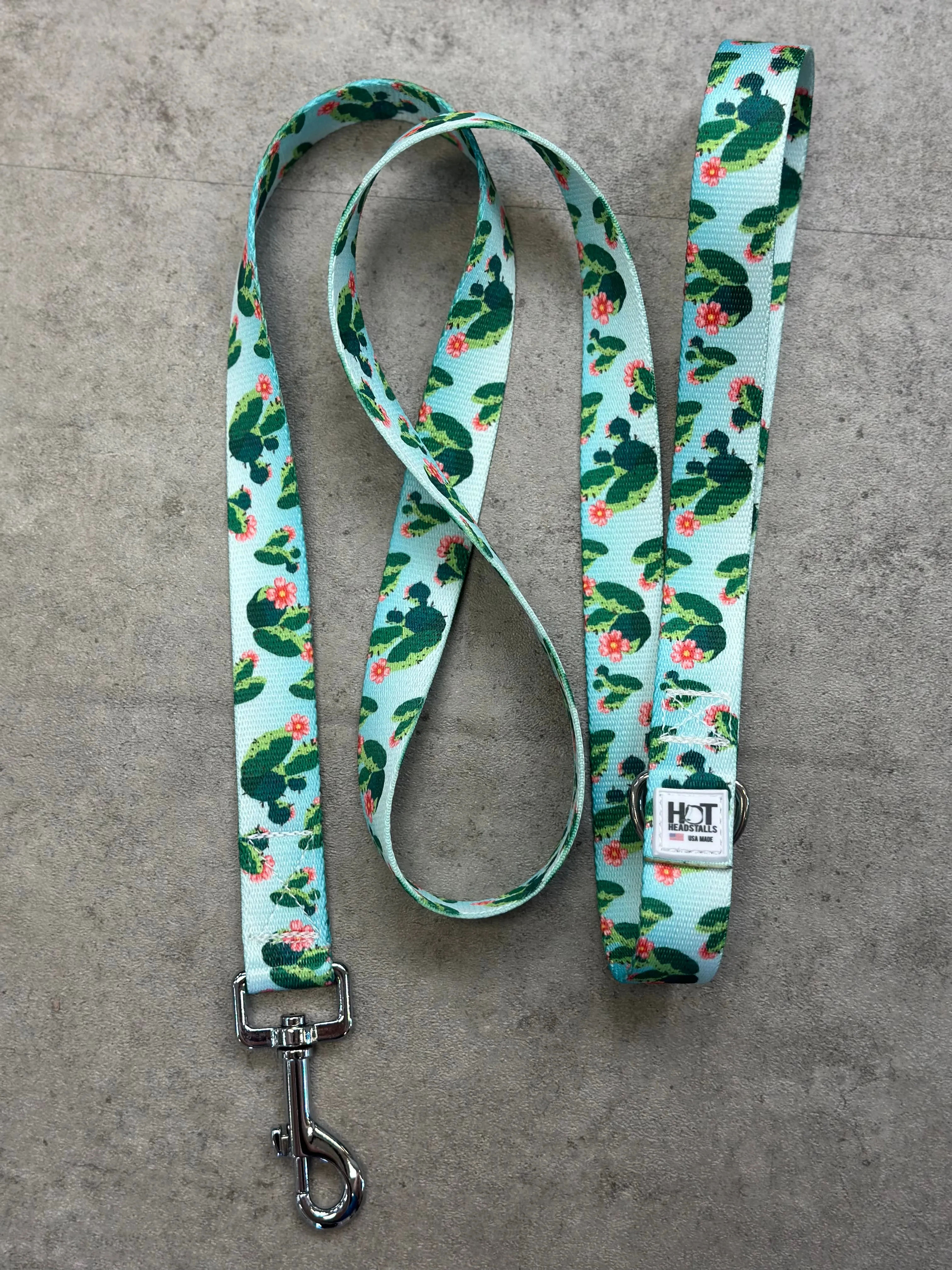 Dog Leashes