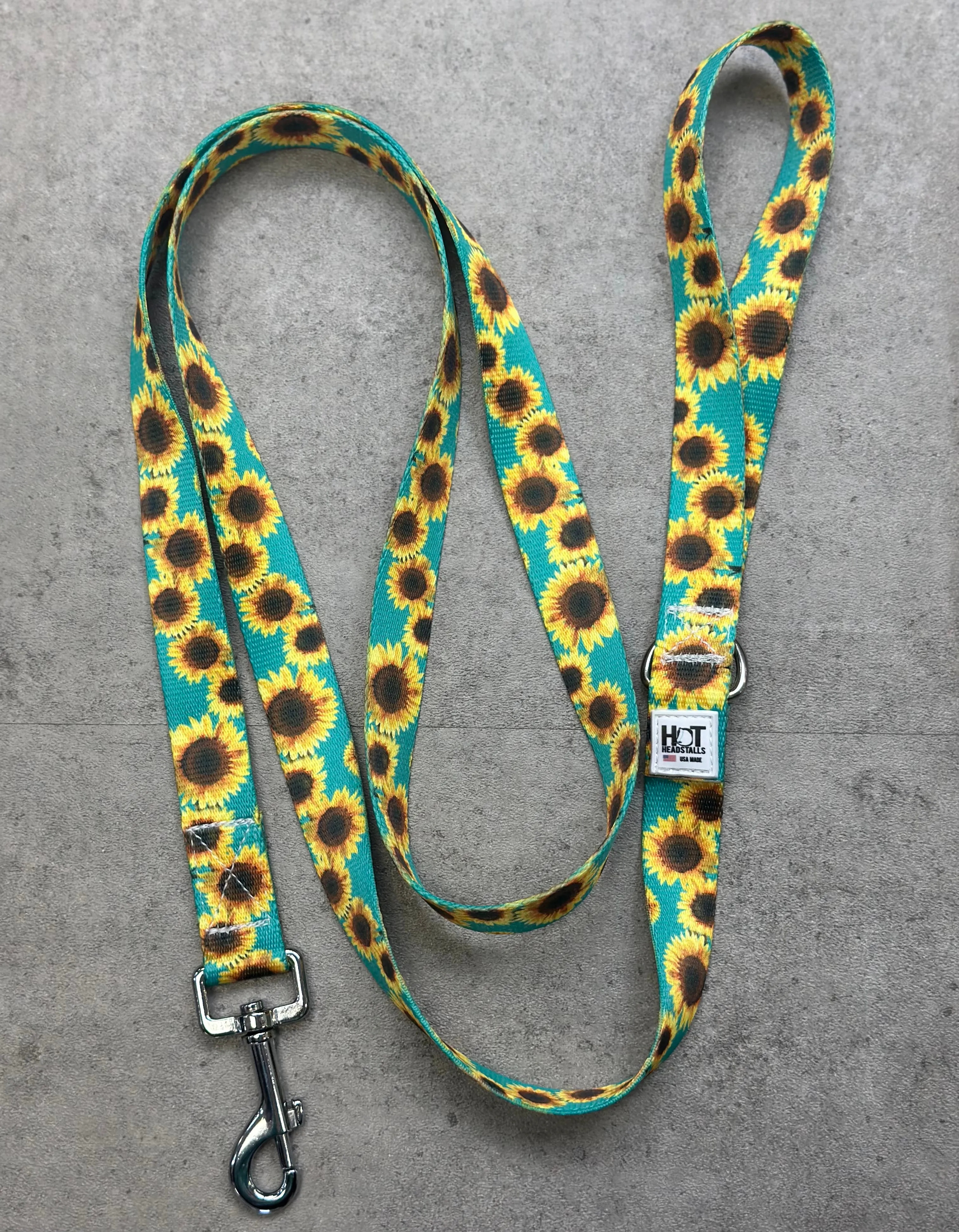 Dog Leashes