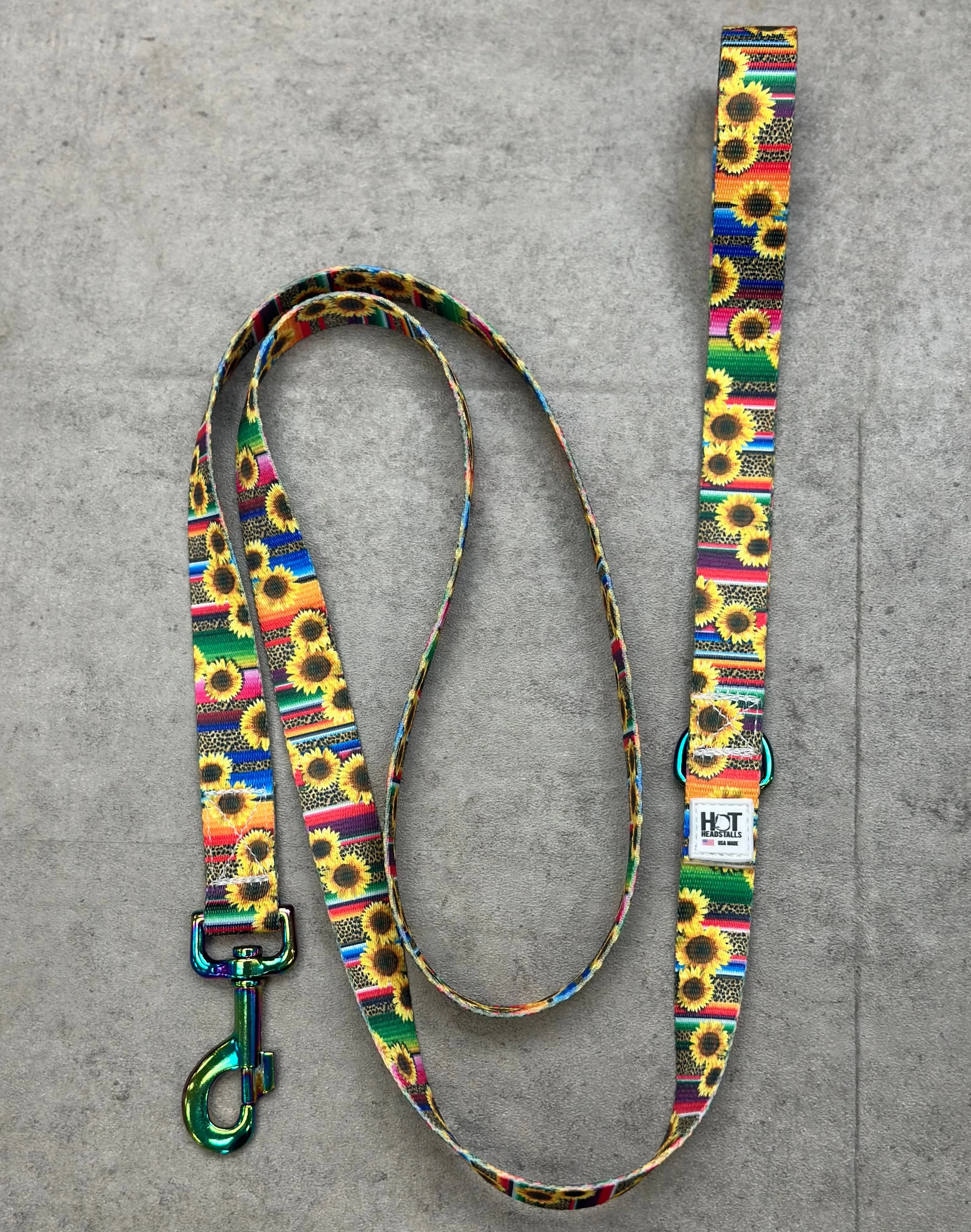 Dog Leashes