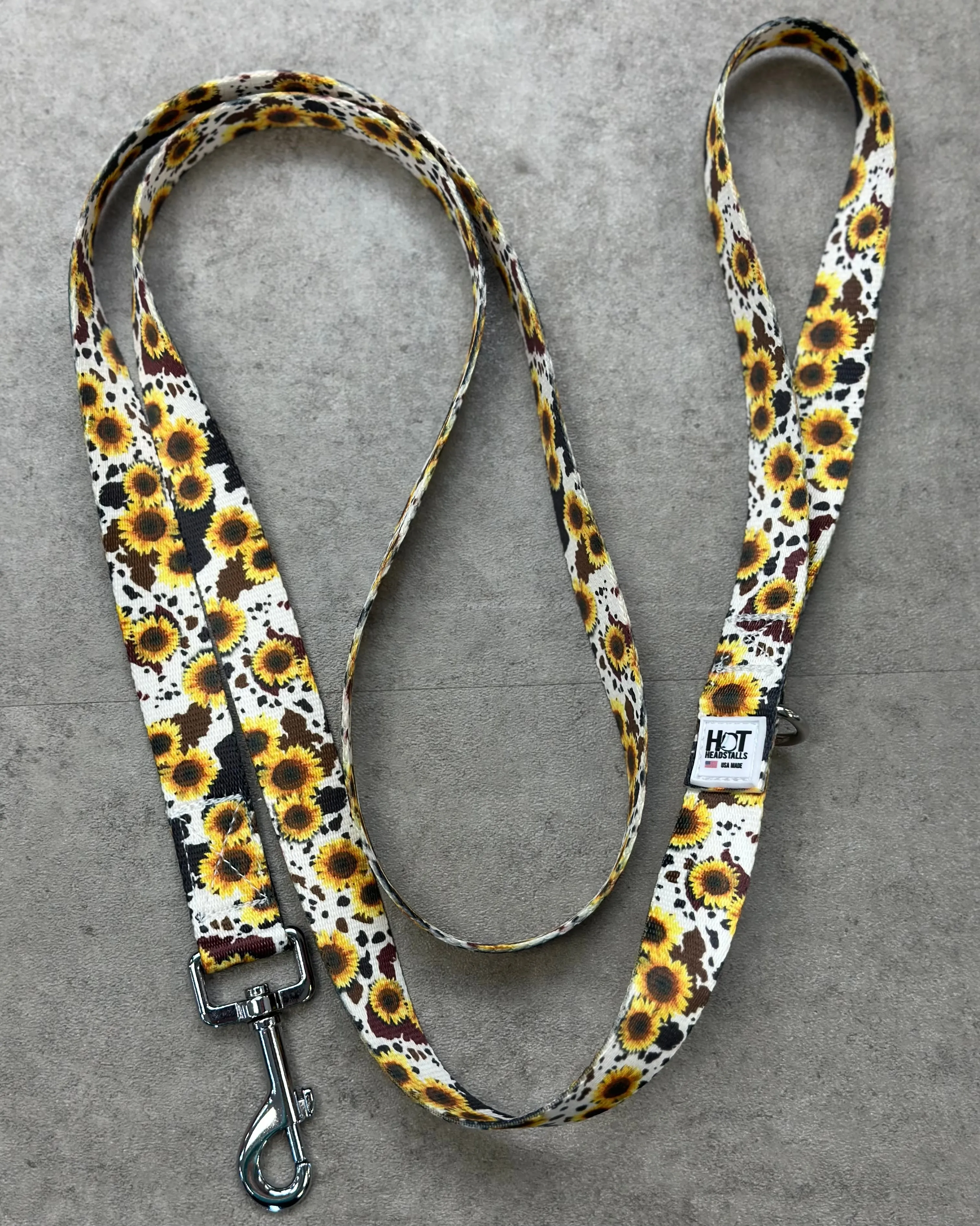 Dog Leashes
