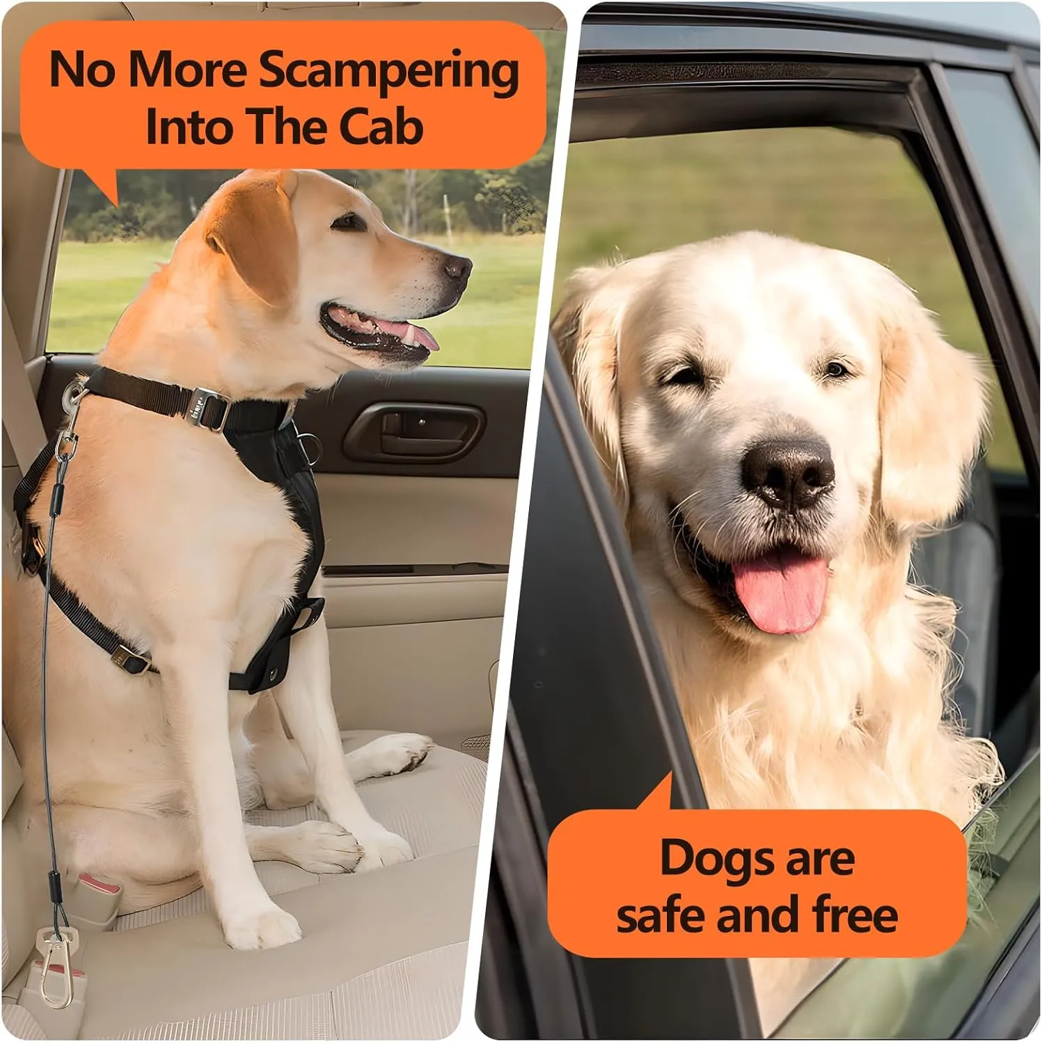 Dog Seat Belt for Car, 2pcs Coated Wire Leash, Double Clip Safety Restraint, Chew Proof Tether Cable, 32inch, Black