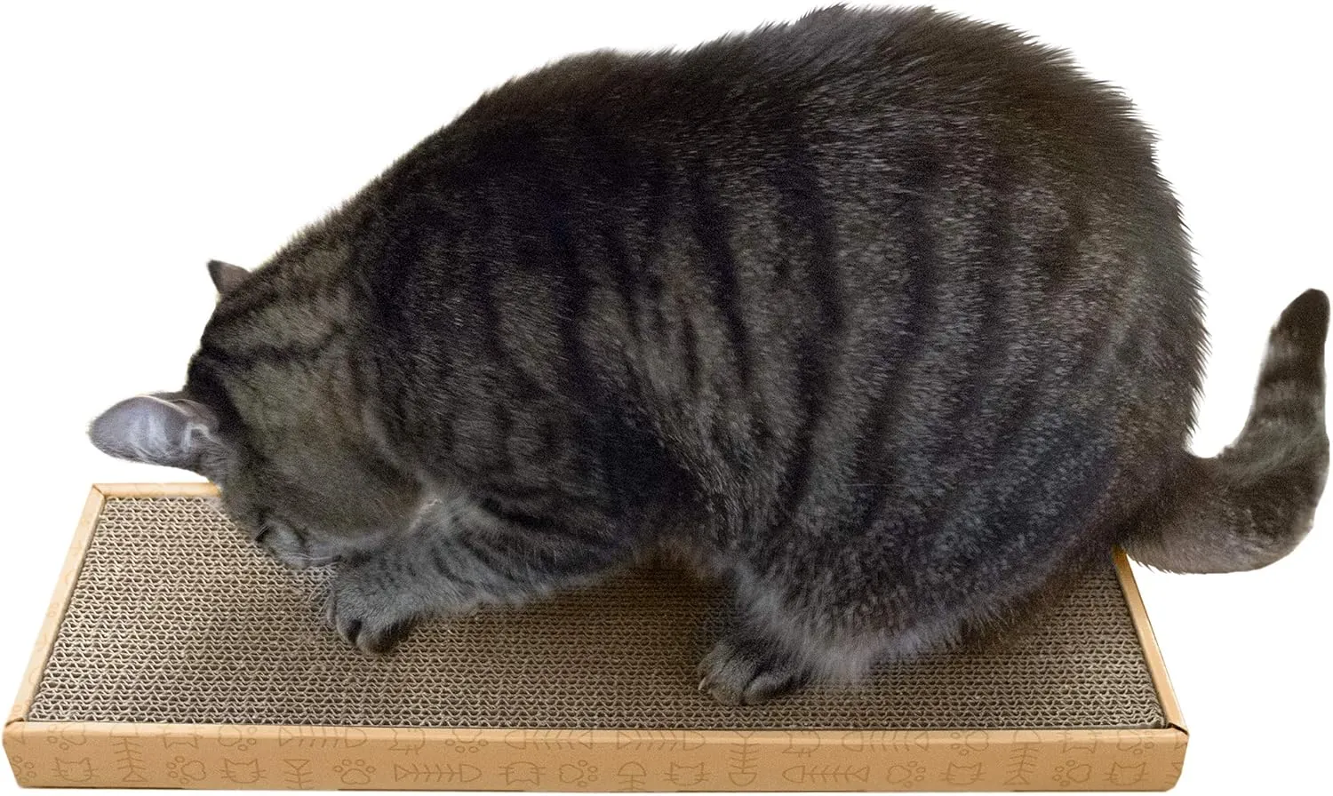 Furhaven Scratching Board w/ Catnip for Indoor Cats, Reversible - Classic Corrugated Cat Scratcher Pad - Yellow, Small