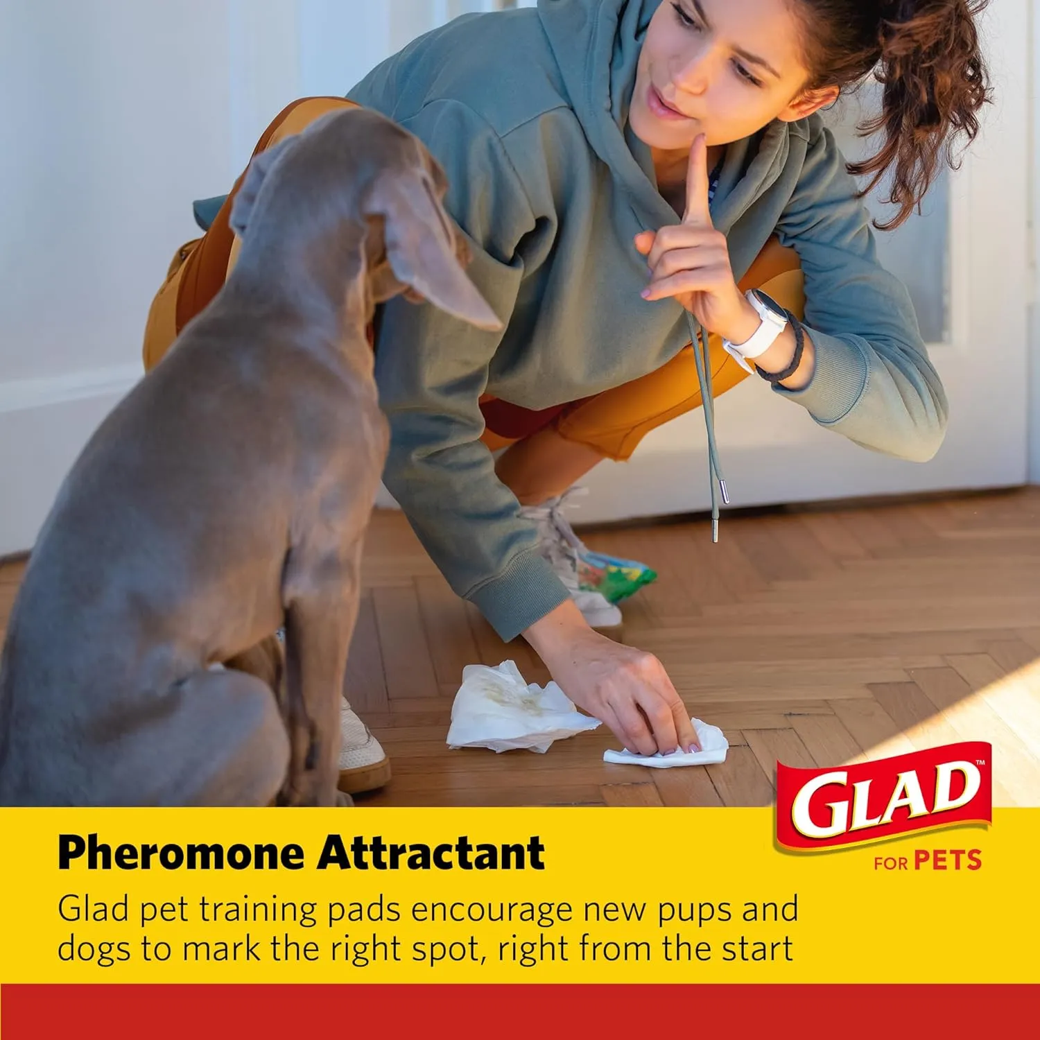 Glad for Pets Extra Large Charcoal Dog Training Pads - Absorbent Disposable Pee Pads for Dogs, Cats & Puppies - Jumbo-Size Potty Pads that Neutralize Urine Instantly - 30 Count Pet Supplies