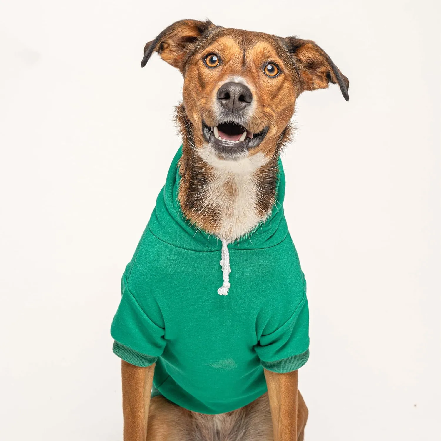 Golden Child Dog Hoodie | Fleece Lined |Leash Hole| Favorite | Spoiled | Funny|Green, 4X-Large 1354