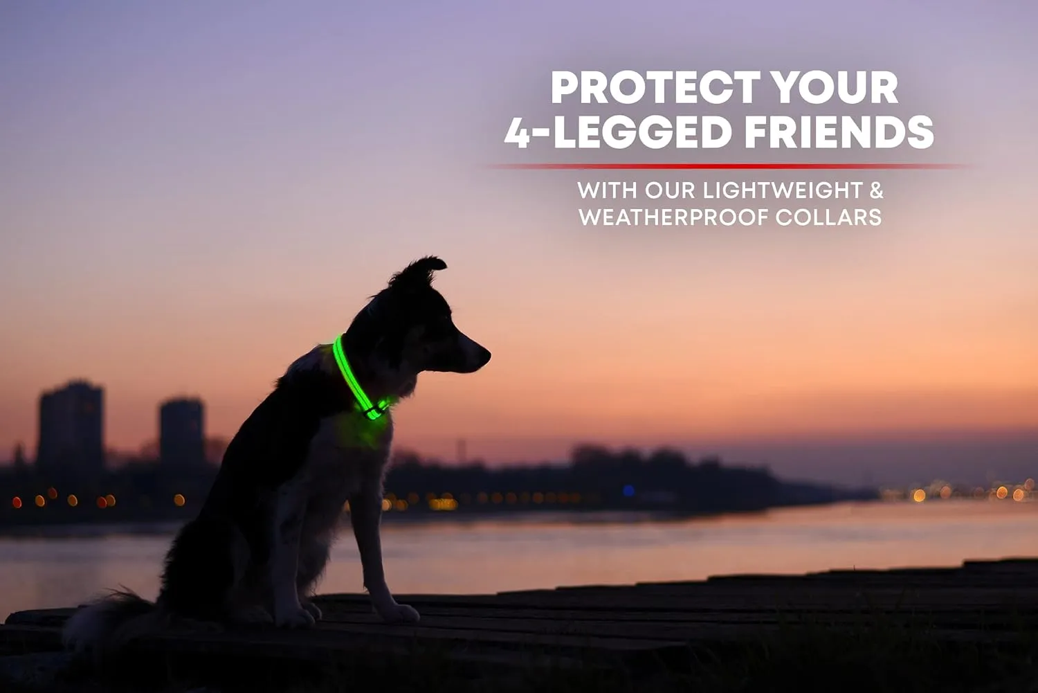 Illumiseen LED Dog Collar USB Rechargeable - Bright & High Visibility Lighted Glow Collar for Pet Night Walking - Weatherproof, in 6 Colors & 6 Sizes (Green X-Large)