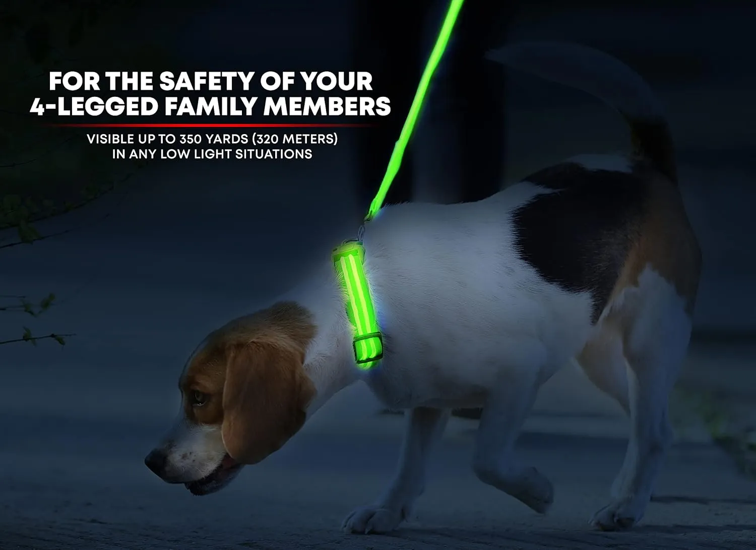 Illumiseen LED Dog Collar USB Rechargeable - Bright & High Visibility Lighted Glow Collar for Pet Night Walking - Weatherproof, in 6 Colors & 6 Sizes (Green X-Large)