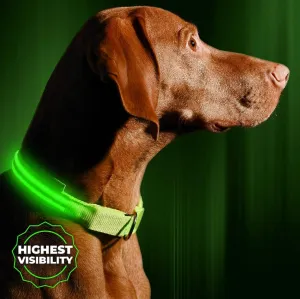 Illumiseen LED Dog Collar USB Rechargeable - Bright & High Visibility Lighted Glow Collar for Pet Night Walking - Weatherproof, in 6 Colors & 6 Sizes (Green X-Large)