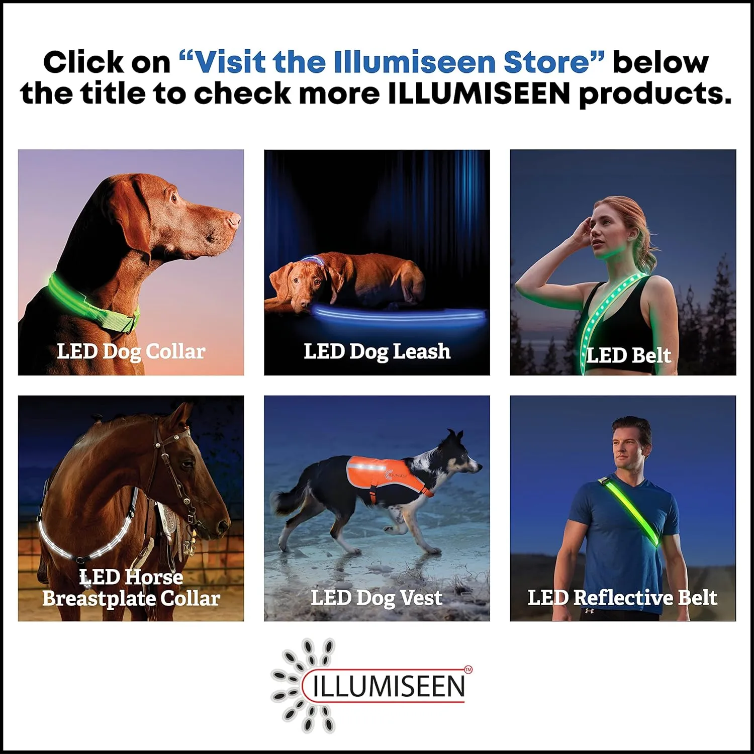 Illumiseen LED Dog Collar USB Rechargeable - Bright & High Visibility Lighted Glow Collar for Pet Night Walking - Weatherproof, in 6 Colors & 6 Sizes (Green X-Large)