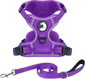 Joytale No Pull Mesh Dog Harness and Reflective Dog 4FT x 1" Leash Combo with Neoprene Handle for Medium Dogs (Purple,M)