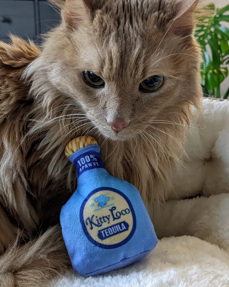 Kitty Loco Tequila Crinkle Plush Cat Toy w/ Catnip