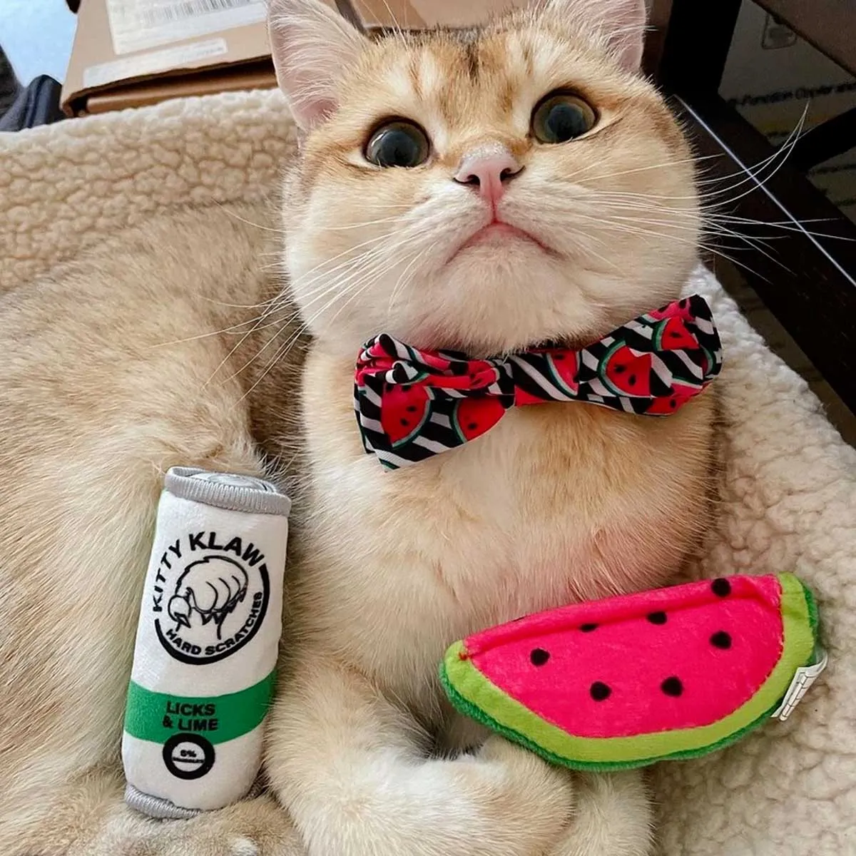 Kittybelles Watermelon Plush Catnip Toy