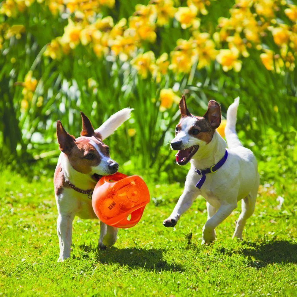 Kong Dog Jumbler Ball