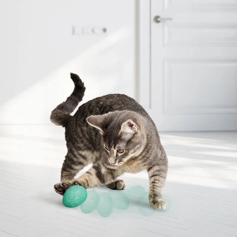 KONG Infused™ Catnip Egg 2-pk