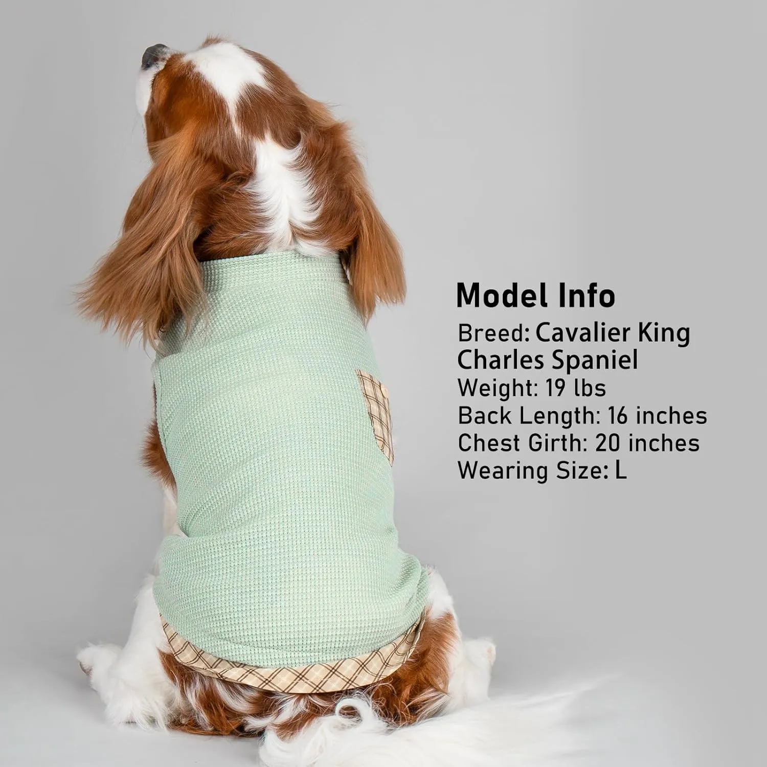 KYEESE Waffle Dog Shirts for Small Dogs Soft Stretchy T-Shirts Lightweight Puppy Tank Top Sleeveless Pet Vest with Cute Pocket and Plaid Patchwork for Daily Wear, Large