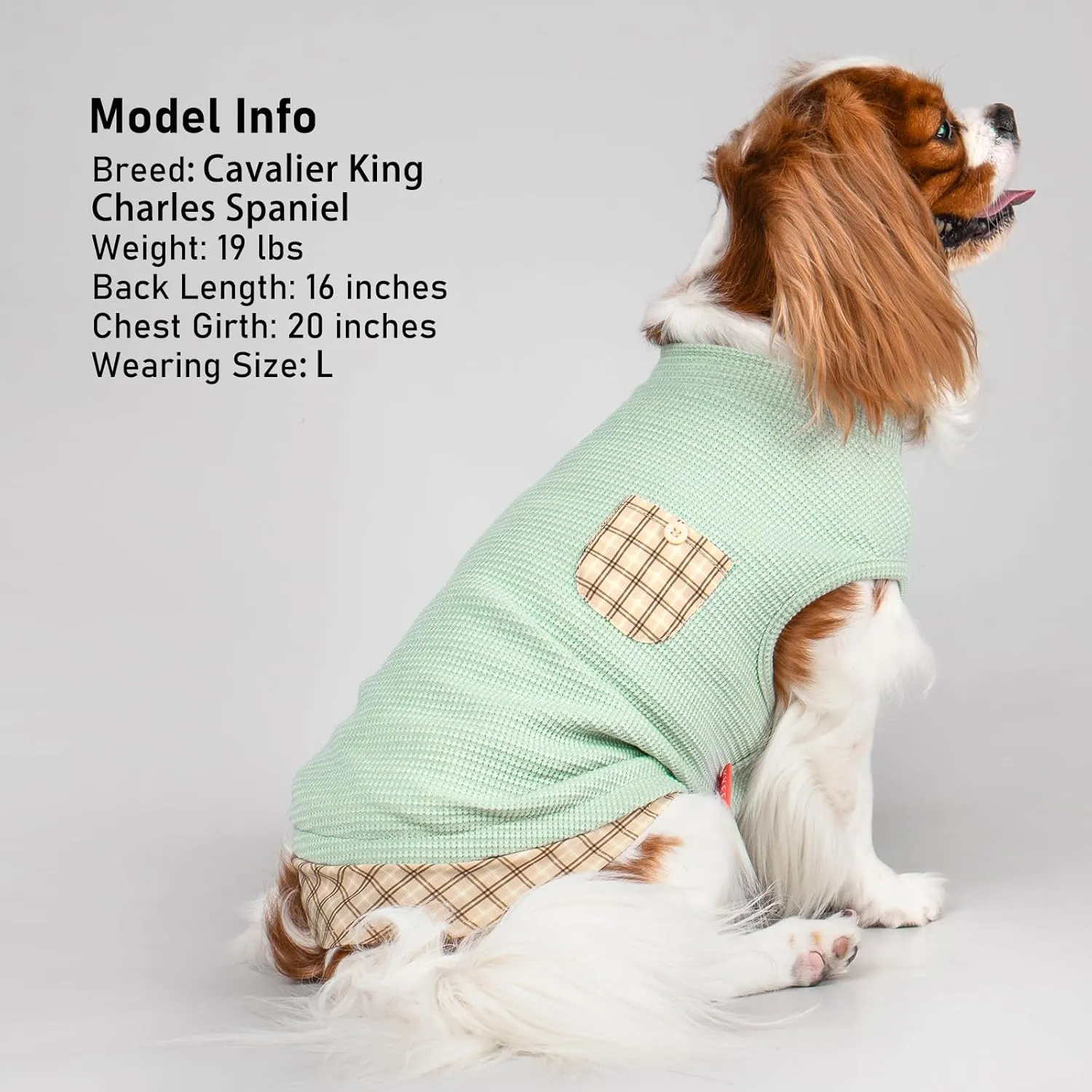 KYEESE Waffle Dog Shirts for Small Dogs Soft Stretchy T-Shirts Lightweight Puppy Tank Top Sleeveless Pet Vest with Cute Pocket and Plaid Patchwork for Daily Wear, Large