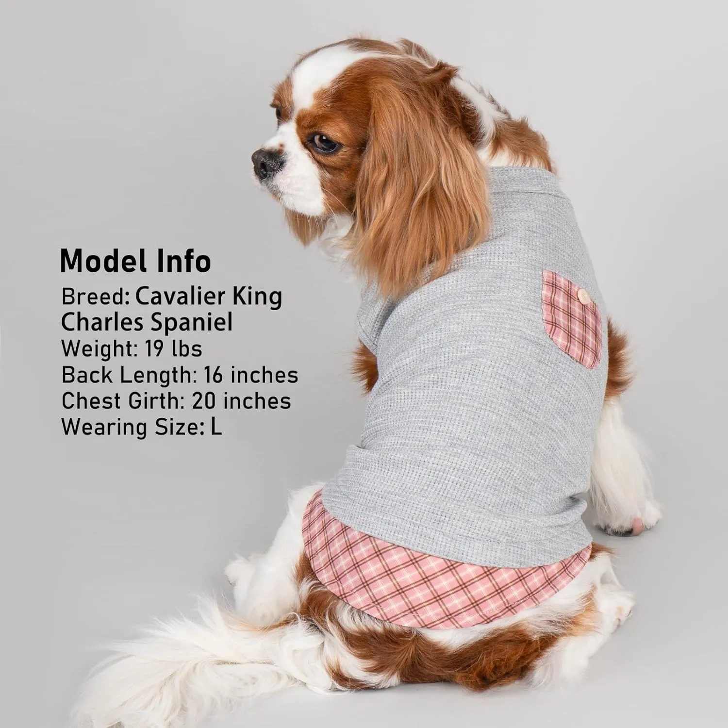 KYEESE Waffle Dog Shirts for Small Dogs Soft Stretchy T-Shirts Lightweight Puppy Tank Top Sleeveless Pet Vest with Cute Pocket and Plaid Patchwork for Daily Wear, Large