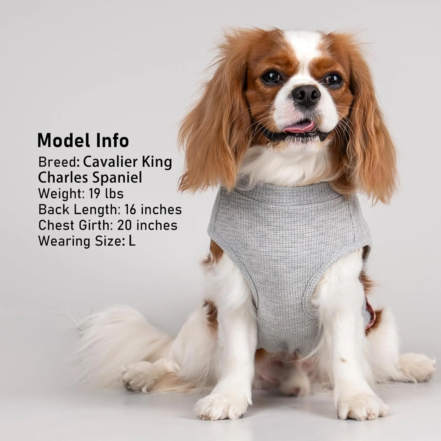 KYEESE Waffle Dog Shirts for Small Dogs Soft Stretchy T-Shirts Lightweight Puppy Tank Top Sleeveless Pet Vest with Cute Pocket and Plaid Patchwork for Daily Wear, Large