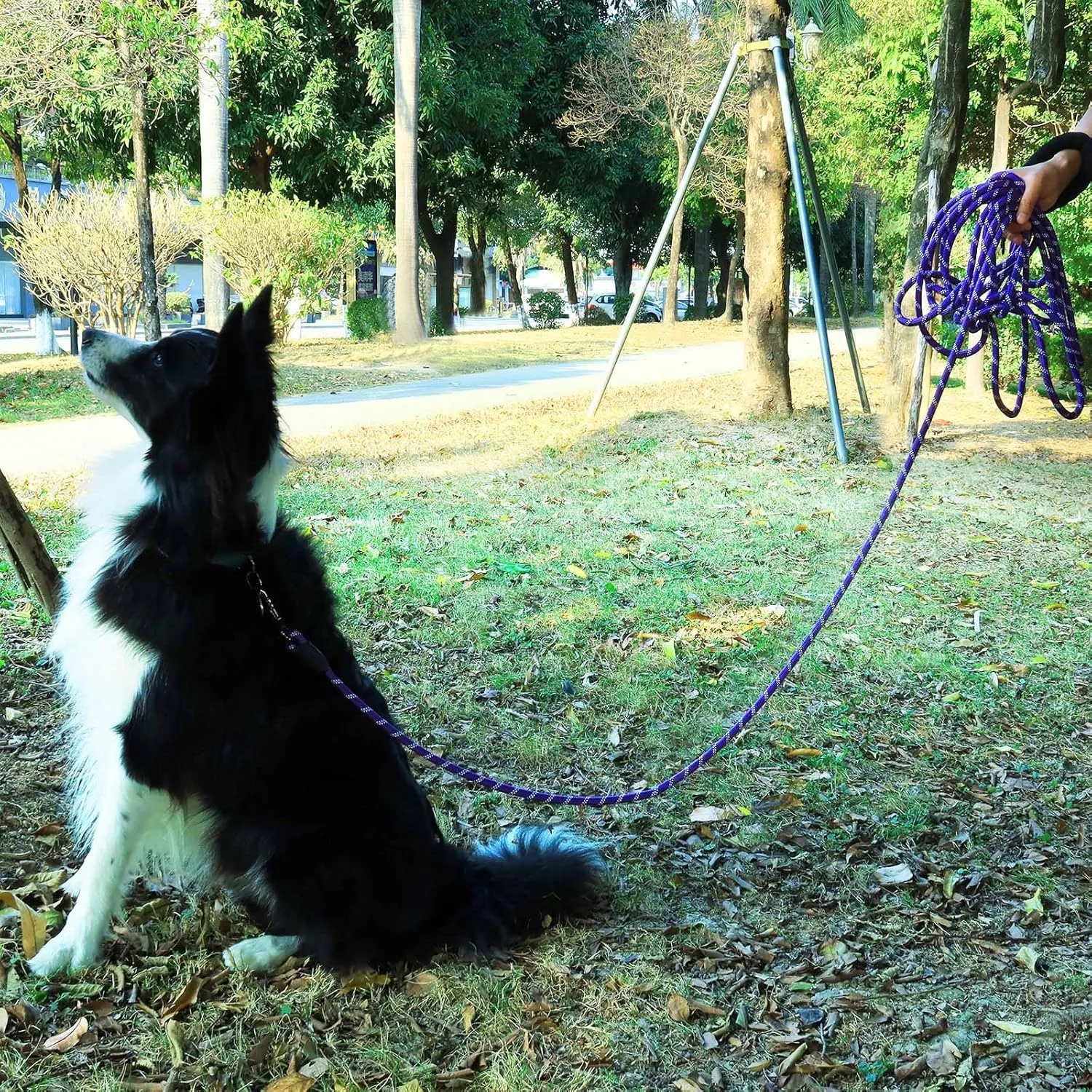 Long Dog Leash for Dog Training 16FT/30FT/50FT/100FT, Reflective Dog Leash with Lockable Hook, Heavy Duty Dog Lead Tie Out Rope for Large Medium Small Dogs Outside Walking, Playing, Camping, or Yard