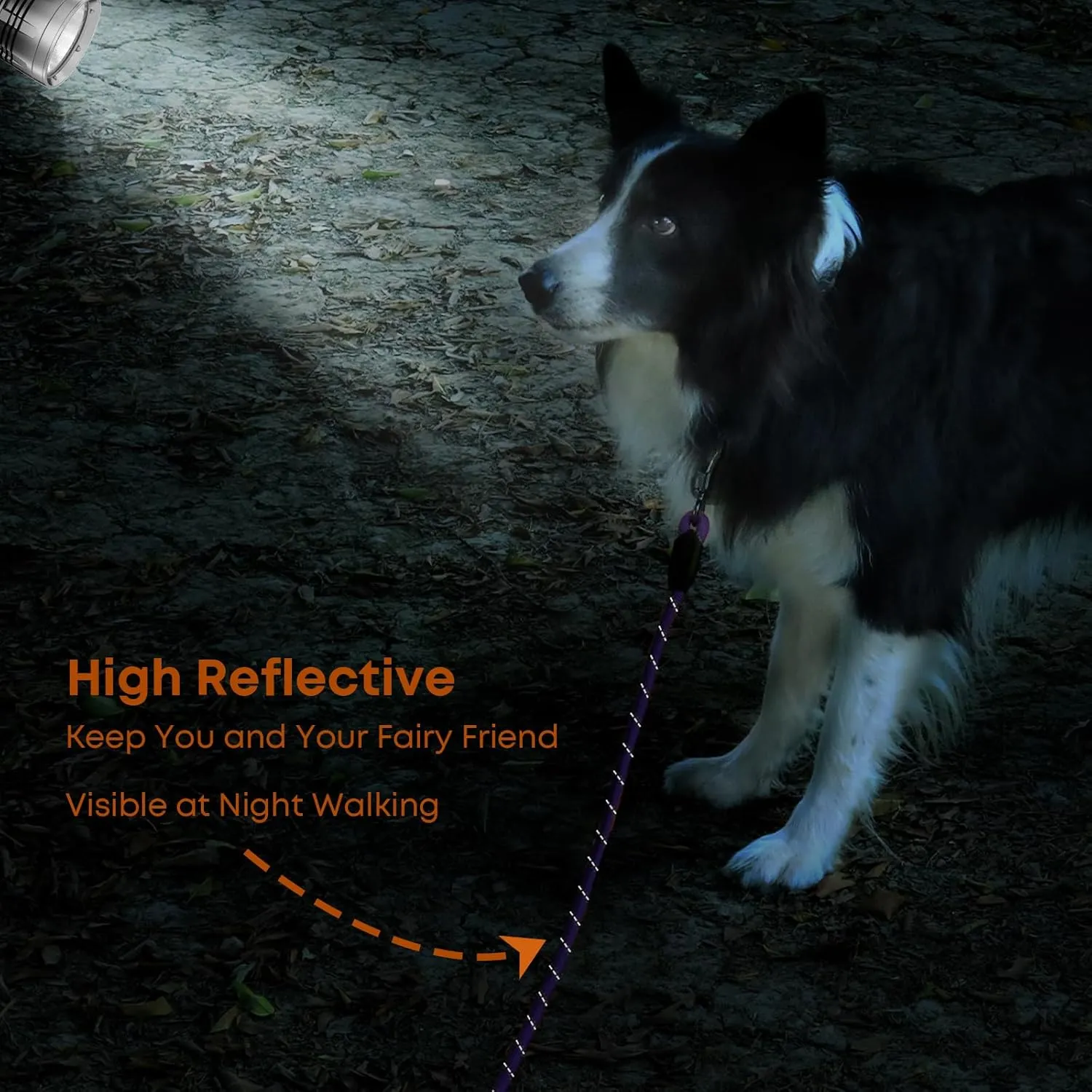 Long Dog Leash for Dog Training 16FT/30FT/50FT/100FT, Reflective Dog Leash with Lockable Hook, Heavy Duty Dog Lead Tie Out Rope for Large Medium Small Dogs Outside Walking, Playing, Camping, or Yard
