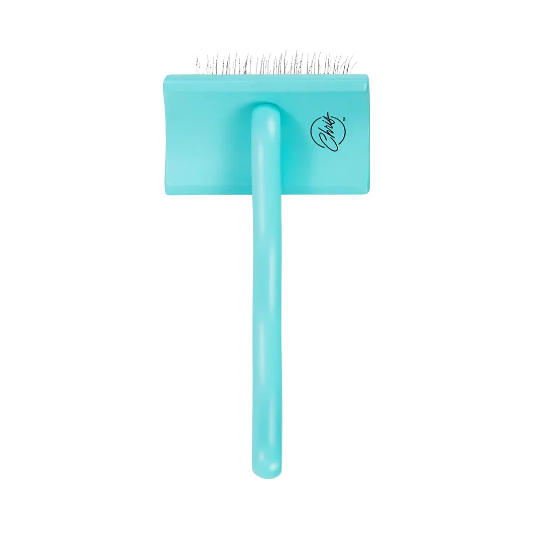 Medium Home Care Big G Teal Slicker Brush by Chris Christensen