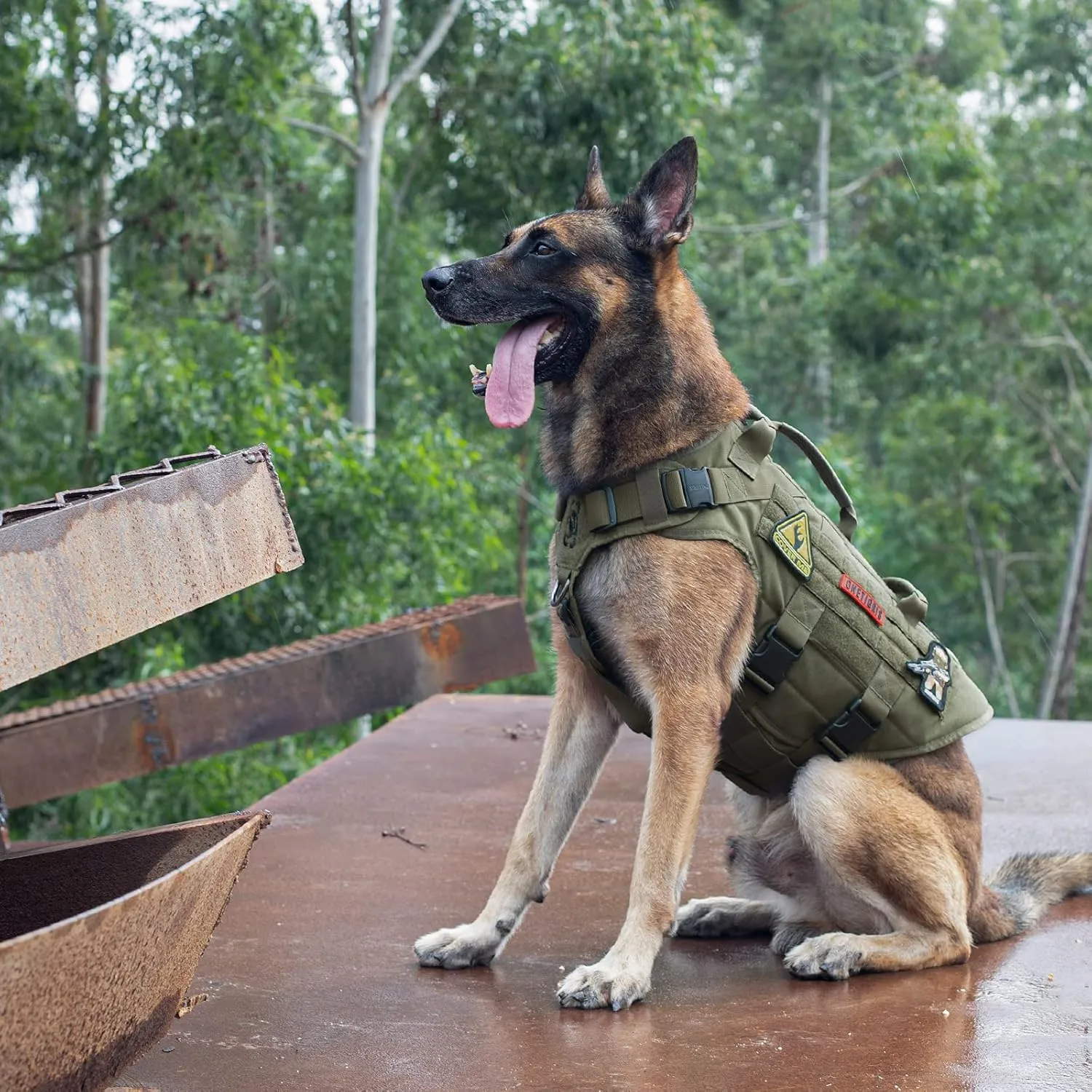 OneTigris Large Tactical Dog Harness, No Pulling Adjustable Dog Vest Harness, Heavy Duty Dog Harness with Handle, Large Hook and Loop Panels for Patch(Range Green,S)