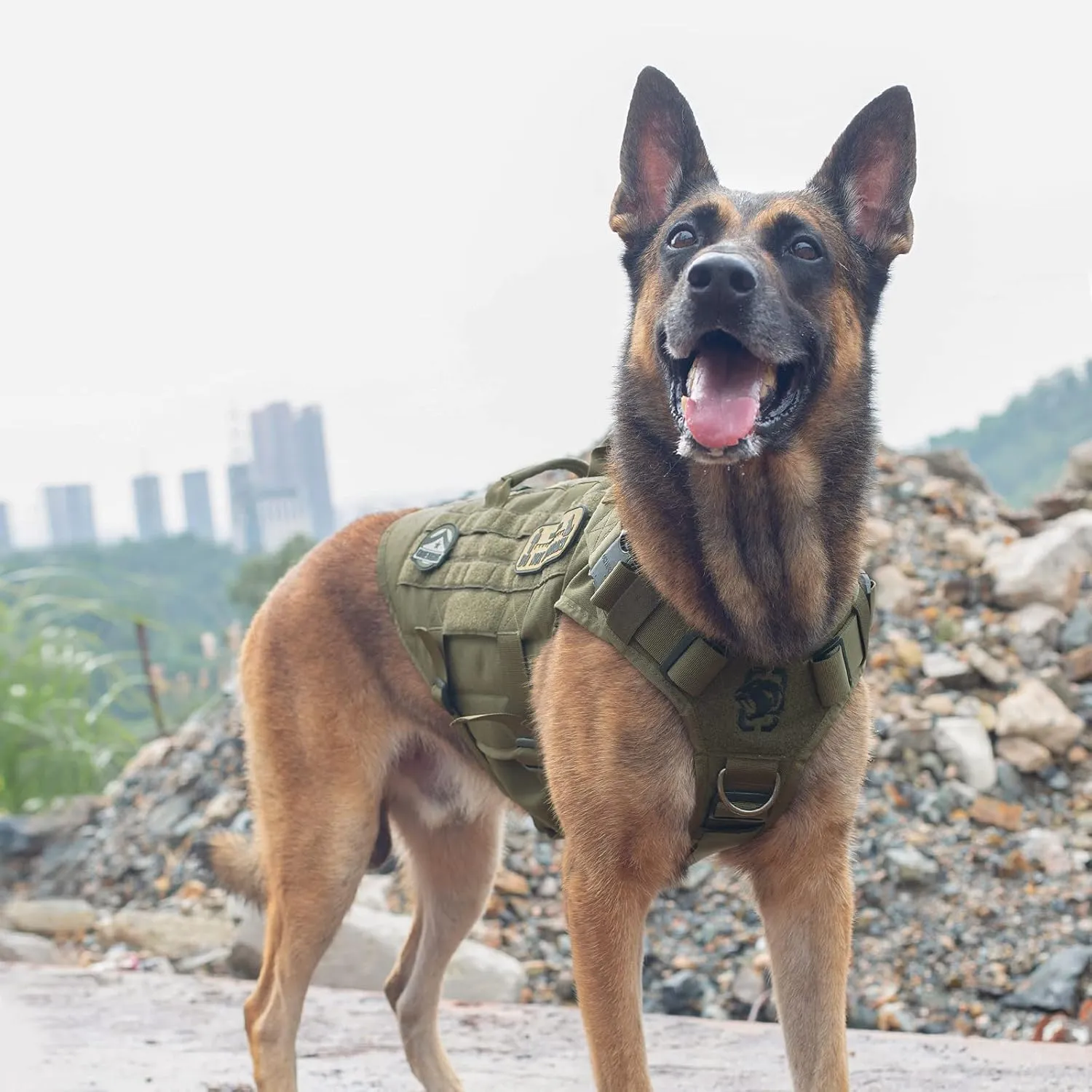 OneTigris Large Tactical Dog Harness, No Pulling Adjustable Dog Vest Harness, Heavy Duty Dog Harness with Handle, Large Hook and Loop Panels for Patch(Range Green,S)