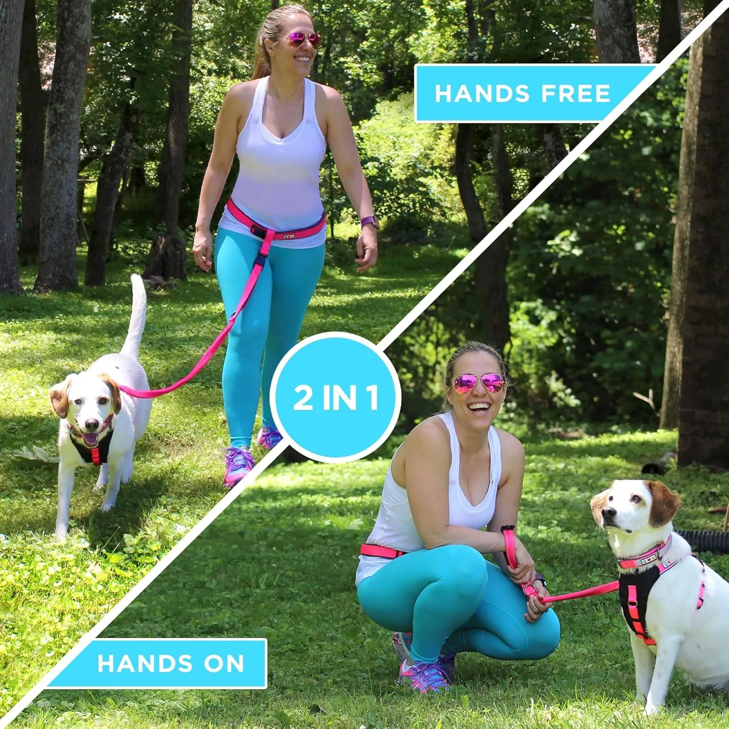 Pawtitas Red Hands Free Dog Leash for Large Dogs, Running Leash with Bungee, Reflective for Night Walking