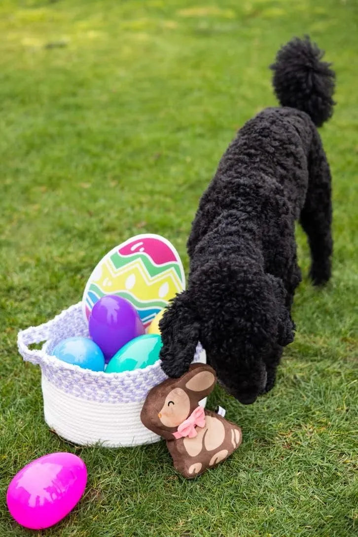 Pearhead Easter Chocolate Bunny Plush Squeaker Pet Toy for Interactive Play, Soft Dog Toy