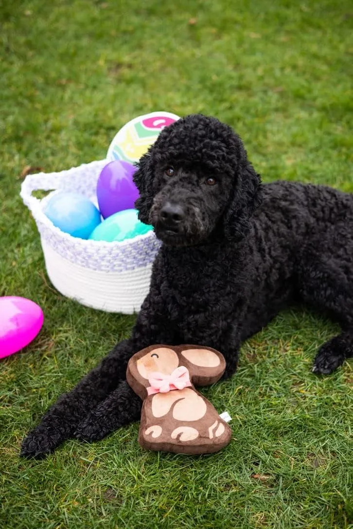Pearhead Easter Chocolate Bunny Plush Squeaker Pet Toy for Interactive Play, Soft Dog Toy