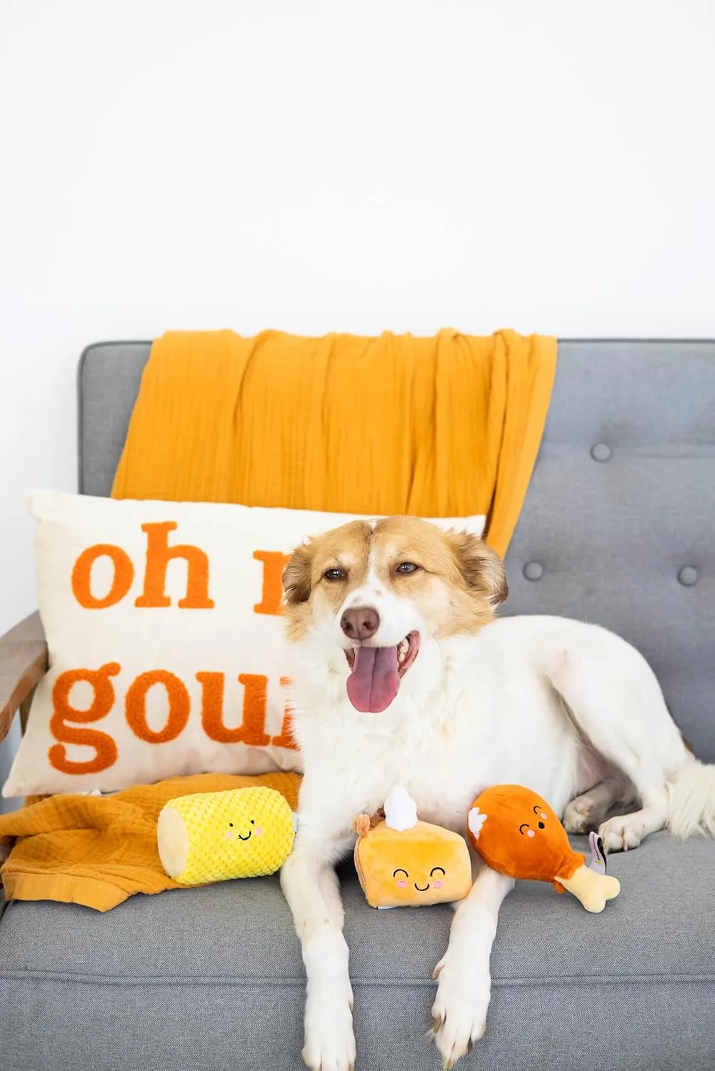 Pearhead Thanksgiving Dinner Dog Toys, Thanksgiving Toy Set for Dogs, Set of 3, Plush Dog Toys, Squeaky Dog Toy, Food Pet Toys