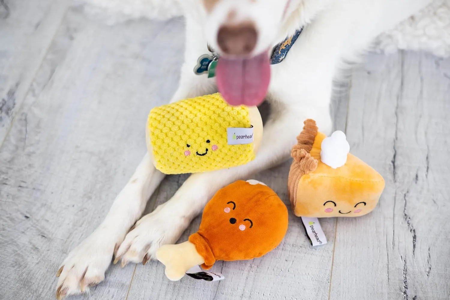 Pearhead Thanksgiving Dinner Dog Toys, Thanksgiving Toy Set for Dogs, Set of 3, Plush Dog Toys, Squeaky Dog Toy, Food Pet Toys