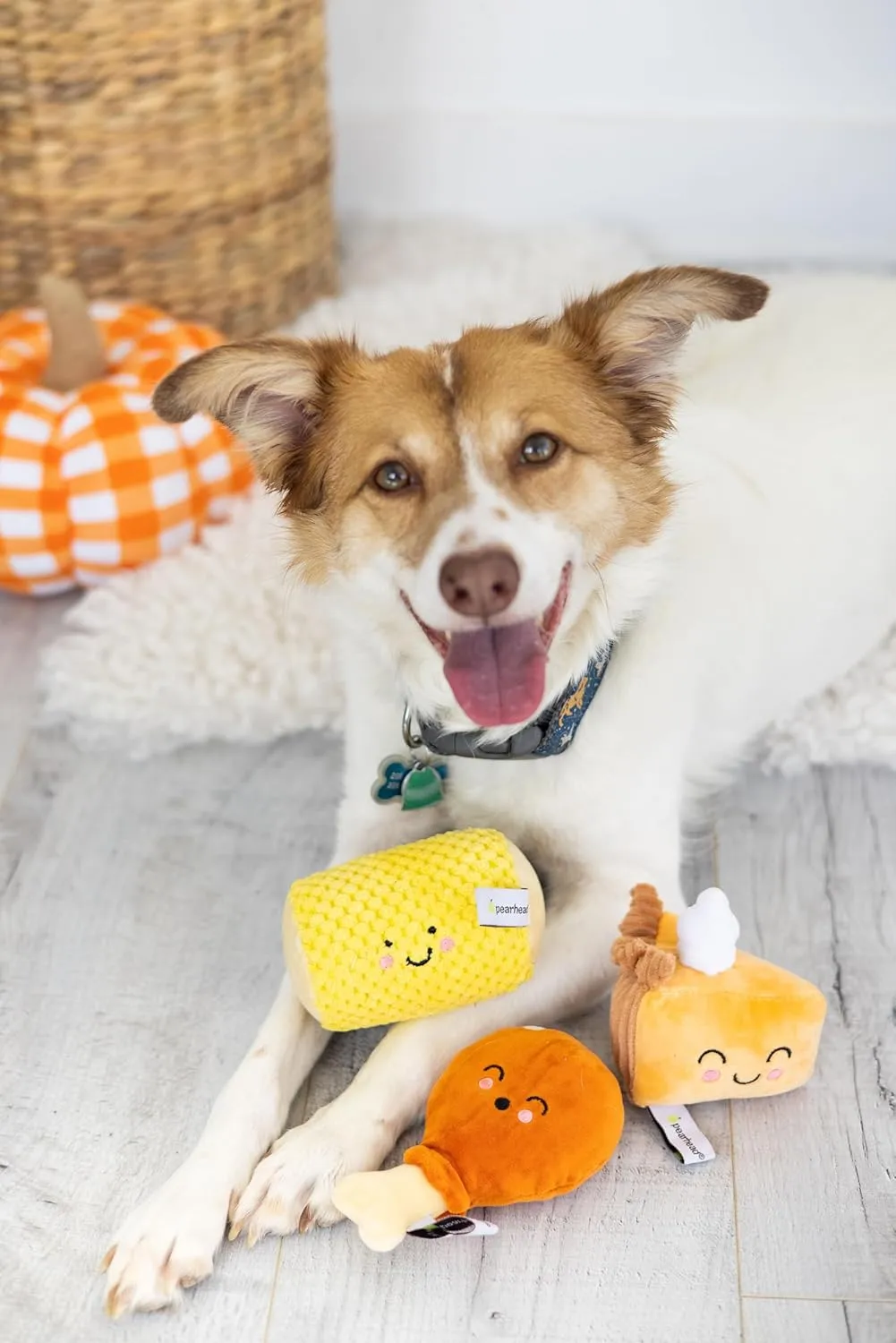 Pearhead Thanksgiving Dinner Dog Toys, Thanksgiving Toy Set for Dogs, Set of 3, Plush Dog Toys, Squeaky Dog Toy, Food Pet Toys