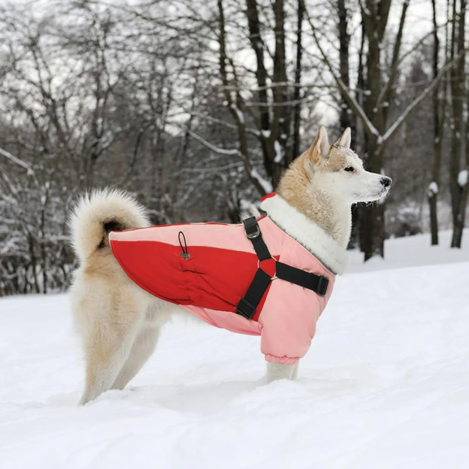 QBLEEV Warm Dog Coat With Adjustable Buckle, Winter Christmas Jacket for Large Dogs, High Collar Snow Jacket, Thick Cold Weather Fleece Lined Snowsuit Vest Pet Clothes L