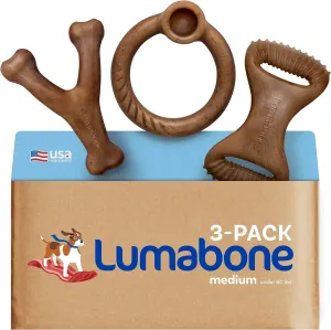 Real Bacon 3-Pack Dog Toys for Aggressive Chewers,Wishbone, Dental Chew, Ring Bacon Medium