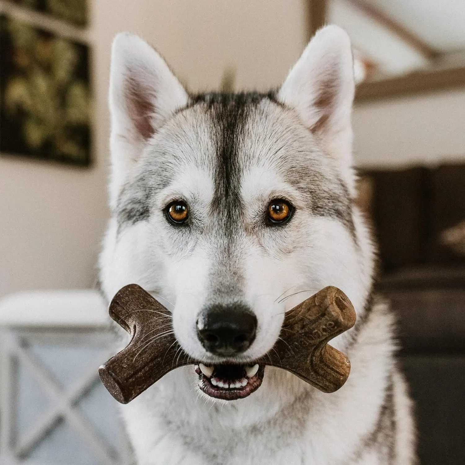 Real Bacon Medium 3-Pack Durable Dog Chew Toys for Aggressive Chewers, Made in USA  Wishbone, Zaggler, Stick
