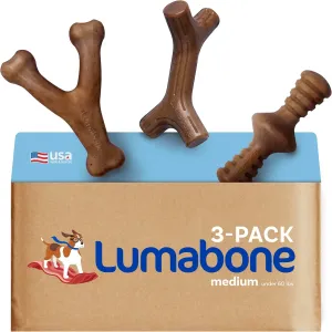 Real Bacon Medium 3-Pack Durable Dog Chew Toys for Aggressive Chewers, Made in USA  Wishbone, Zaggler, Stick